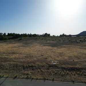 Sunny field with distant mountain and clear sky.