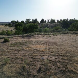 Sunny arid landscape with sparse vegetation